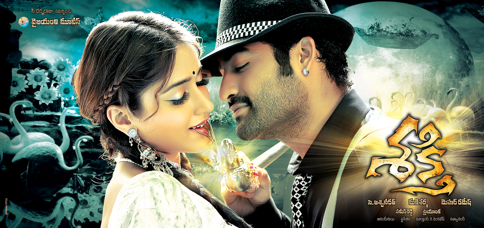 movie coll