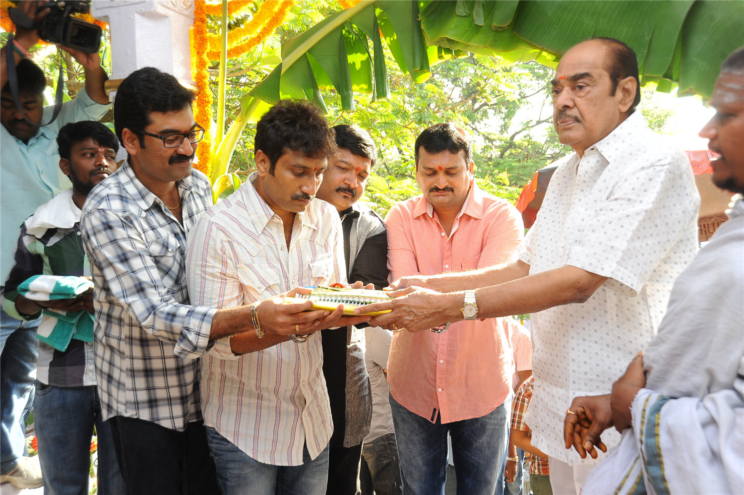 movie coll